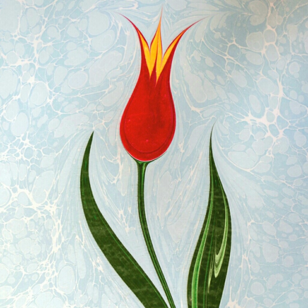 ⚘Meet your Posher, Mel⚘